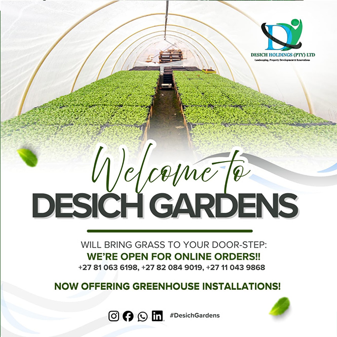 Desich Holdings - banners